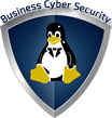 Business Cyber Security